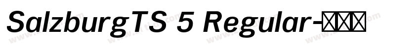 SalzburgTS 5 Regular字体转换